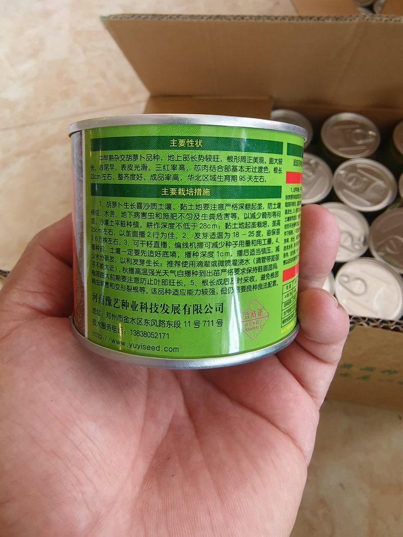 九州红杂交胡萝卜种子表皮光滑根长22厘米收尾早商品性好