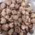 红甜菜甜菜头甜菜疙瘩