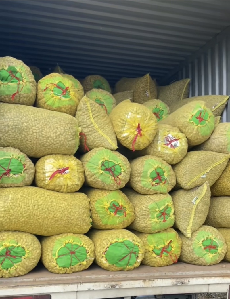 大白沙鲜花生，过筛精品，大吨位供应电商，市场，质量保证