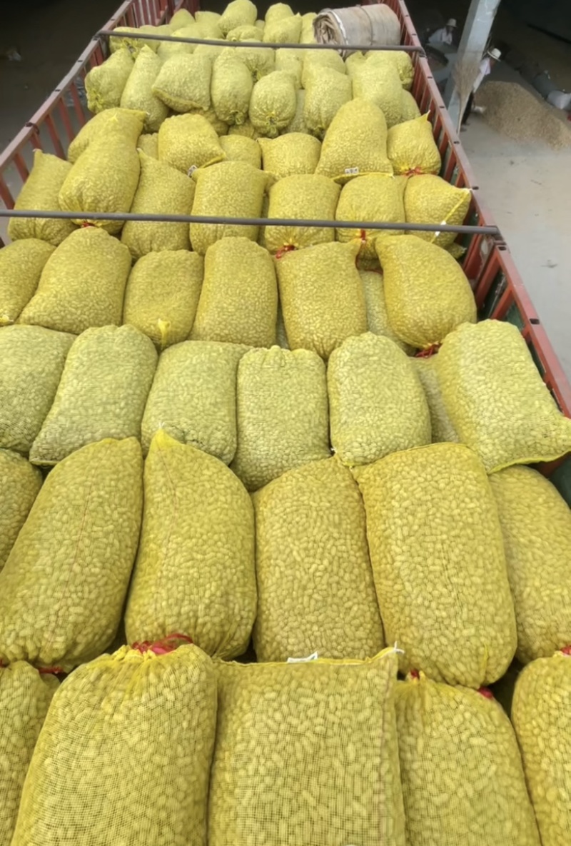 大白沙鲜花生，过筛精品，大吨位供应电商，市场，质量保证