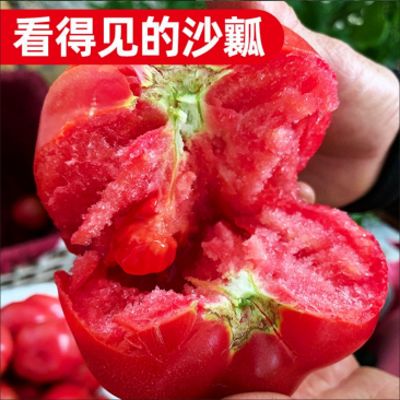 硬粉西红柿沙瓤香甜多汁果肉饱满承接团购电商代发