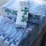 福建武夷红茶金骏眉产地直发品质保证欢迎来电