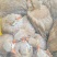 佛山鹧鸪肉基地直发量大优惠规格齐全欢迎进店咨询