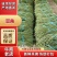 河北优质豆角大量上市货源充足品质保障欢迎电话咨询