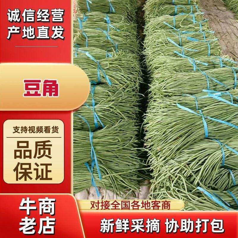 精品】豇豆大量上市产地直供，一手货源，一件代发