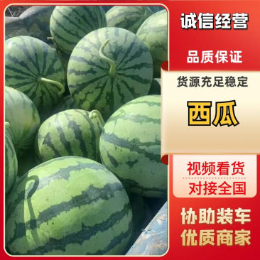 【精品】东北吉林地雷西瓜支持视频看货质量保证