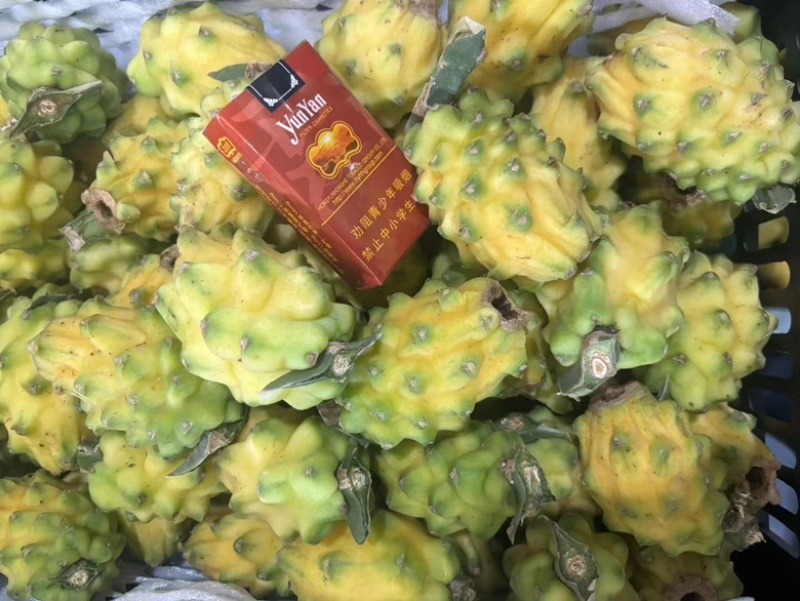 燕窝果