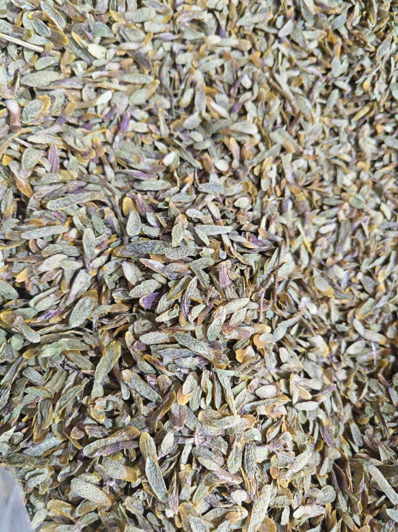 正宗五年铁皮石斛切片石斛干货云南霍山铁皮石斛枫斗中药材养