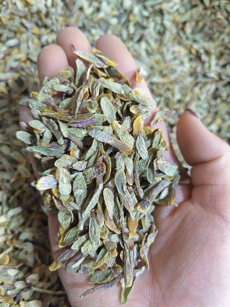 正宗五年铁皮石斛切片石斛干货云南霍山铁皮石斛枫斗中药材养