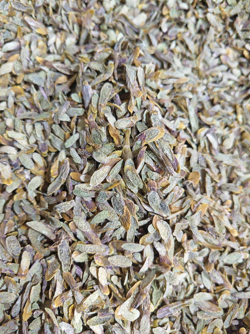 正宗五年铁皮石斛切片石斛干货云南霍山铁皮石斛枫斗中药材养
