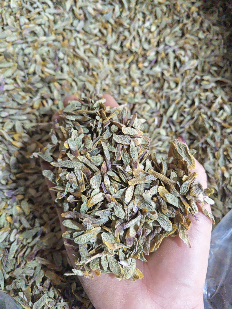 正宗五年铁皮石斛切片石斛干货云南霍山铁皮石斛枫斗中药材养