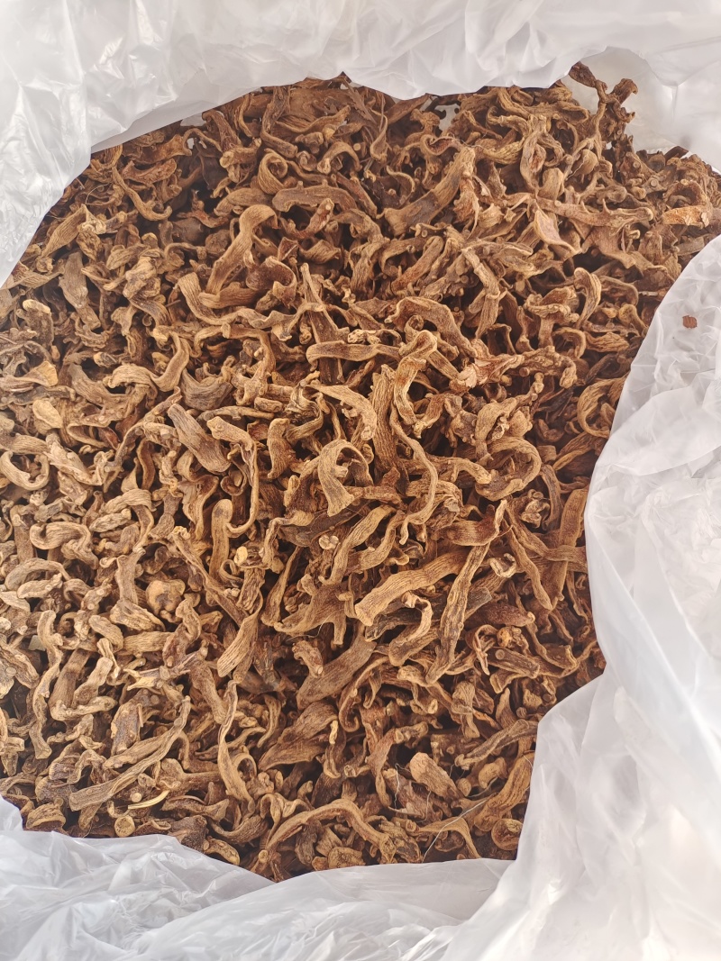 批发中药骨碎补野生大叶骨碎补无硫熏保质保量产地直发量大