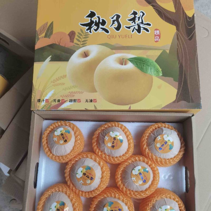 秋月梨甜度高，口感好，价格低，发往全国各地。