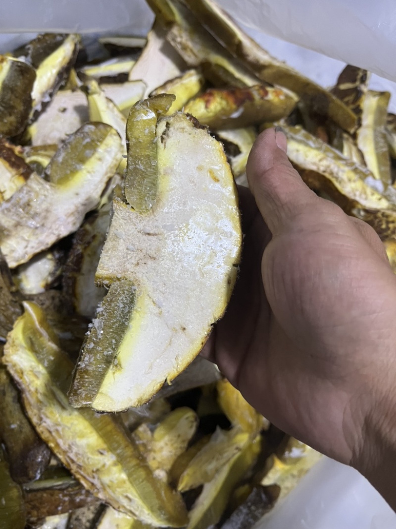黄牛肝菌冻货小菇开片均有