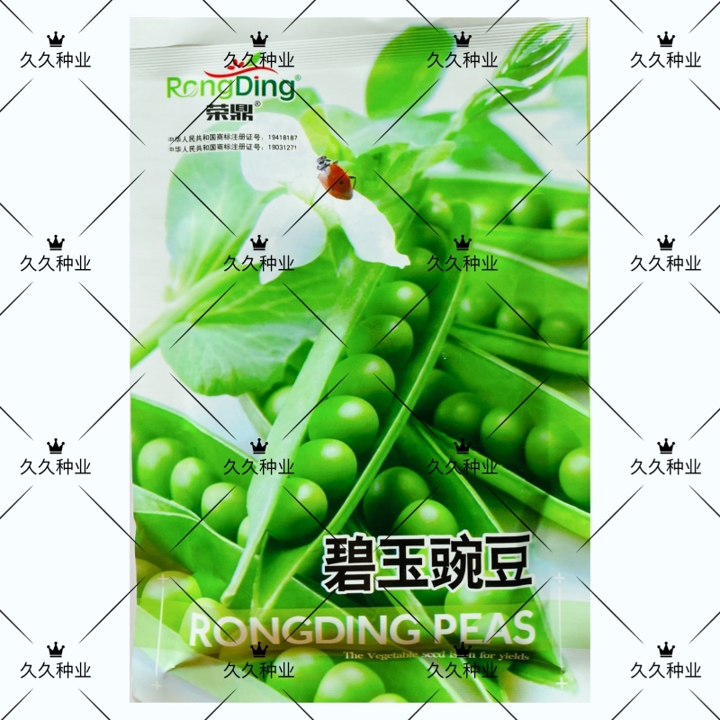 碧玉豌豆种子早熟生长势强抗病商品性好春秋蔓生甜豌豆种籽