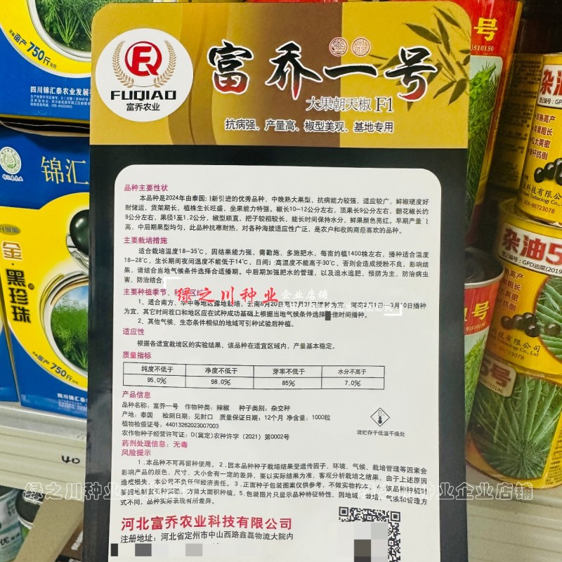 云南热销富乔一号朝天椒种子大果朝天椒种籽高产抗病强