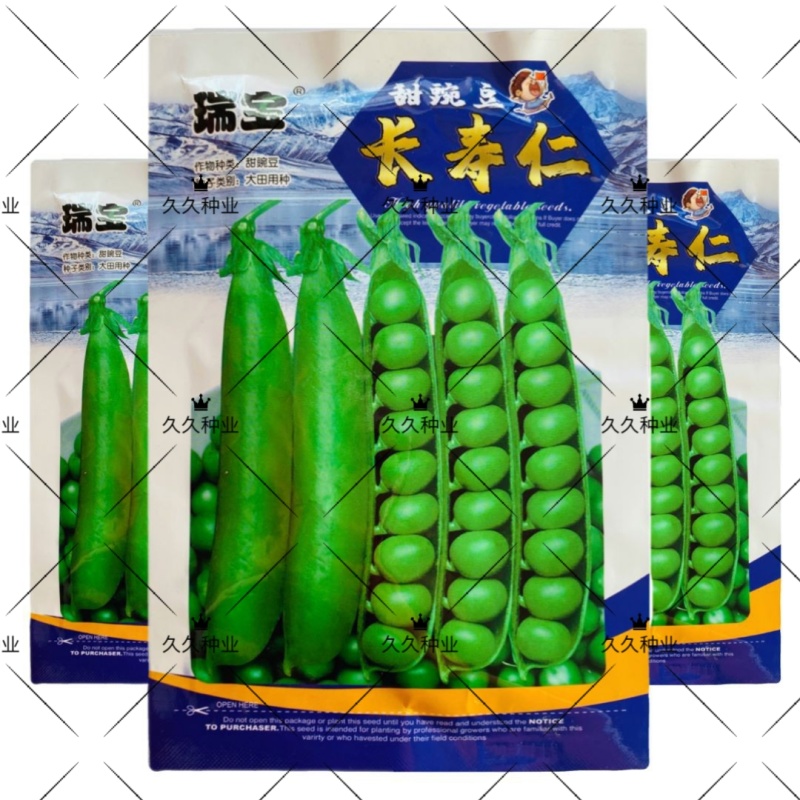 瑞宝长寿仁豌豆种子甜脆青碗豆绿荚大青豆种籽农家秋冬季蔬菜