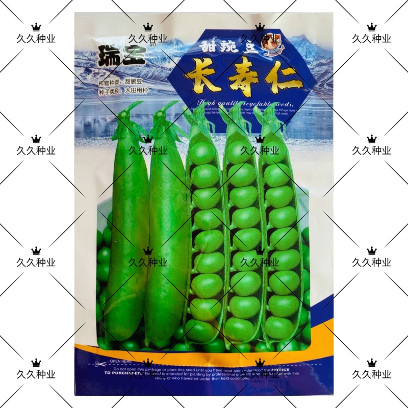 瑞宝长寿仁豌豆种子甜脆青碗豆绿荚大青豆种籽农家秋冬季蔬菜