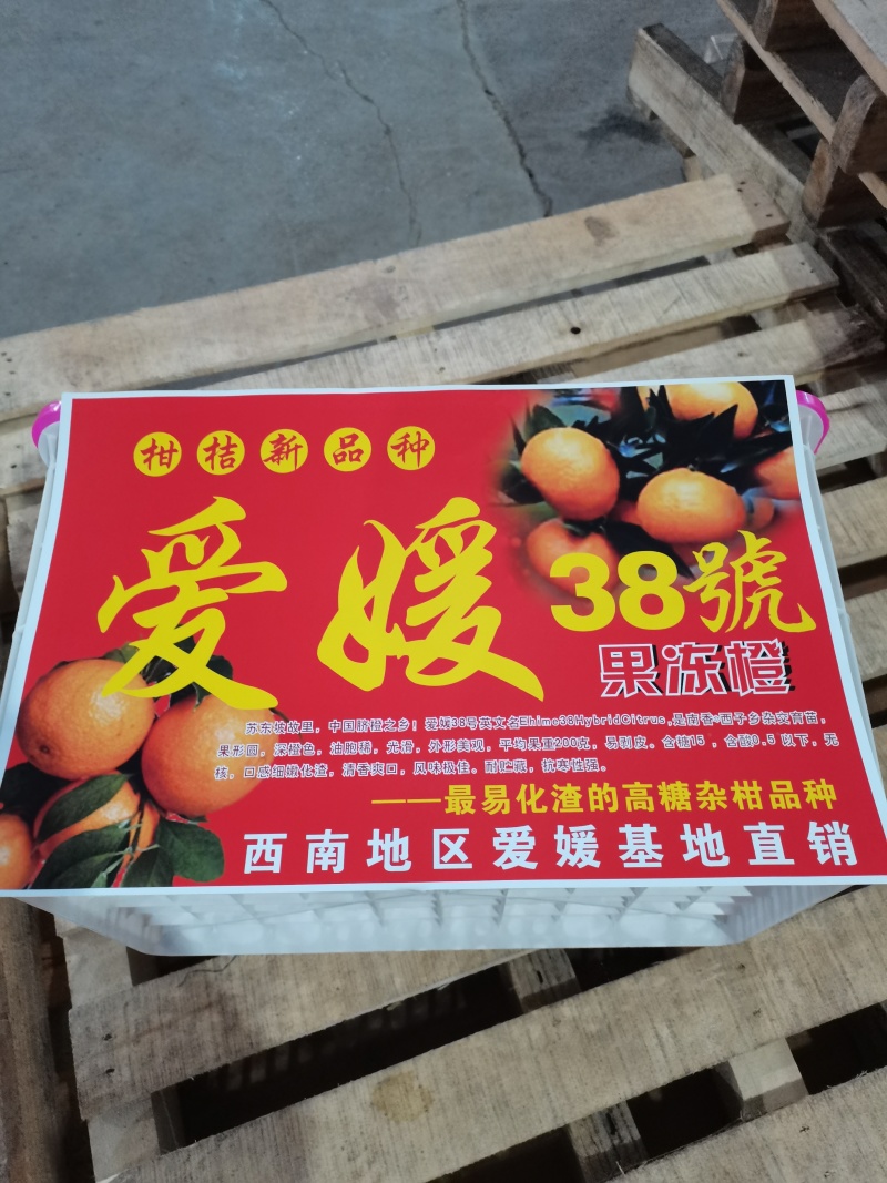 湖北爱媛38果冻橙皮薄多汁口感甜，水份充足供应电商团购
