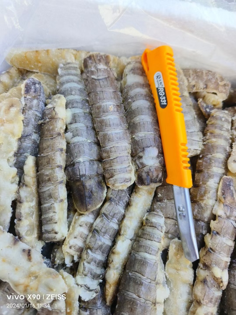 虾爬肉，皮皮虾肉，爬虾肉，虾爬肉生冻虾爬肉，熟冻皮皮虾肉