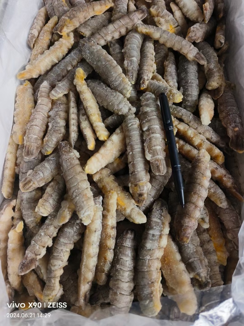 虾爬肉，皮皮虾肉，爬虾肉，虾爬肉生冻虾爬肉，熟冻皮皮虾肉