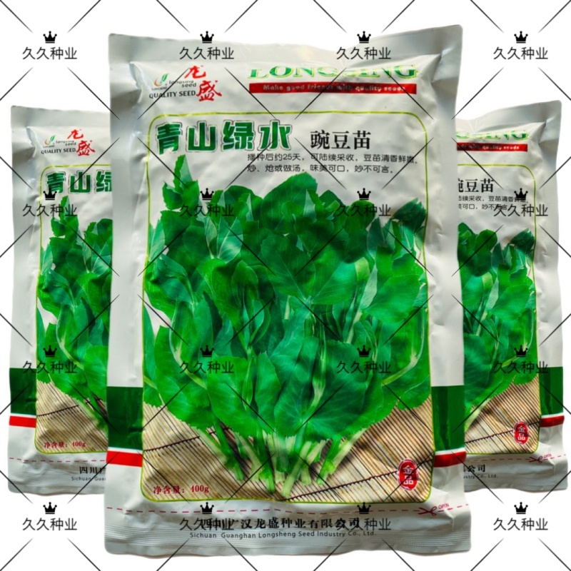 龙盛青山绿水豌豆苗种子清香鲜嫩采收期长高产南方北方早春秋