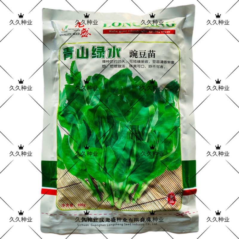 龙盛青山绿水豌豆苗种子清香鲜嫩采收期长高产南方北方早春秋