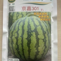 早熟品种京嘉301