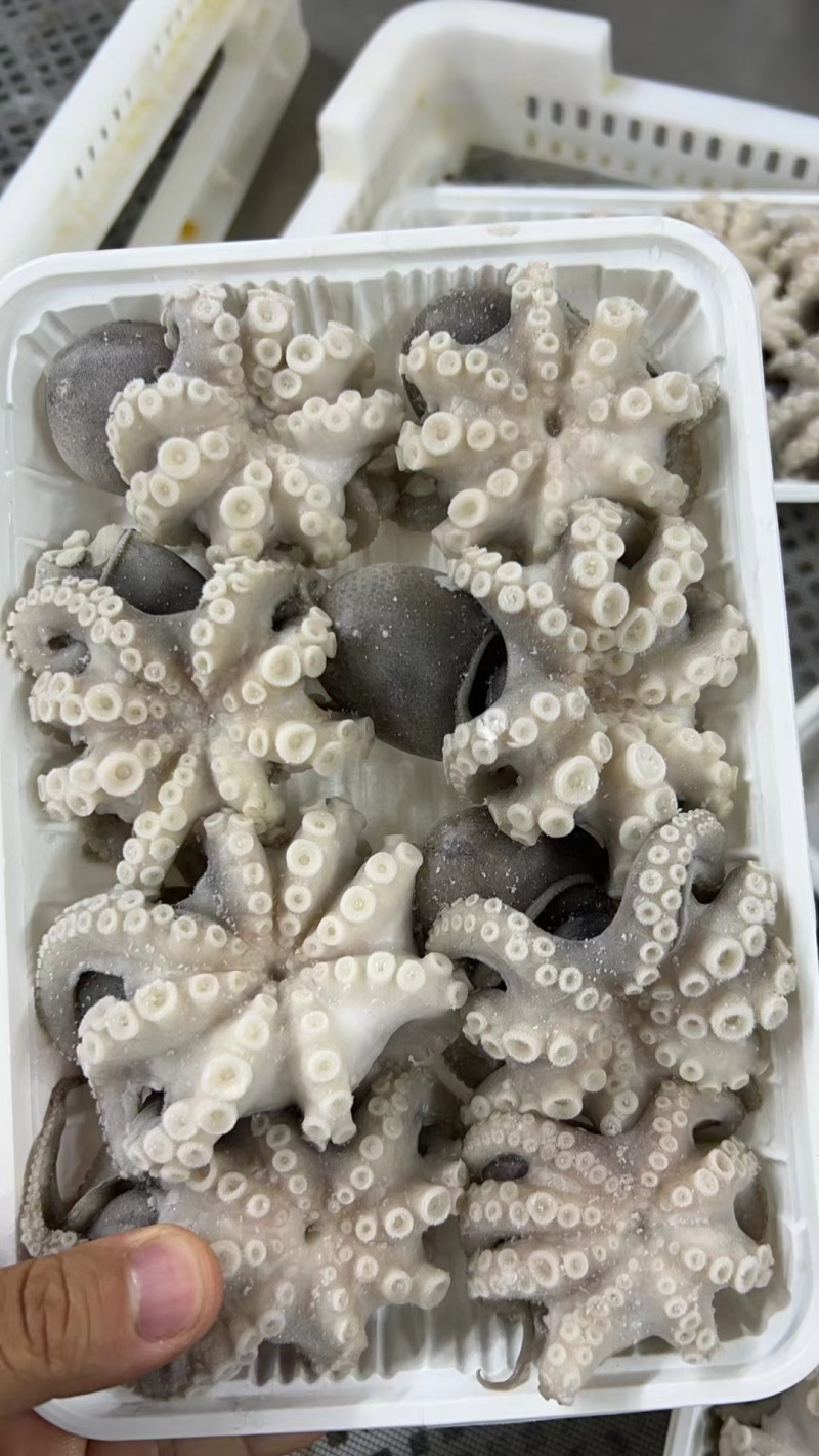 翻花八爪鱼，翻花八爪八爪鱼单冻八爪鱼