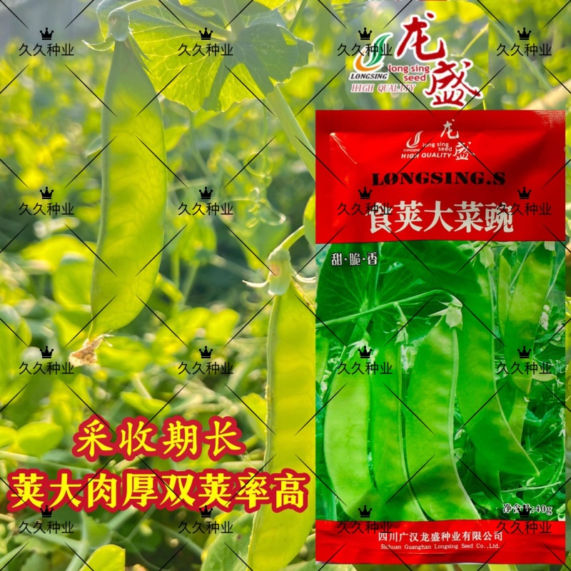 龙盛食荚大菜豌种子菜碗豆荚荷兰豆种籽春夏秋四季播蔬菜
