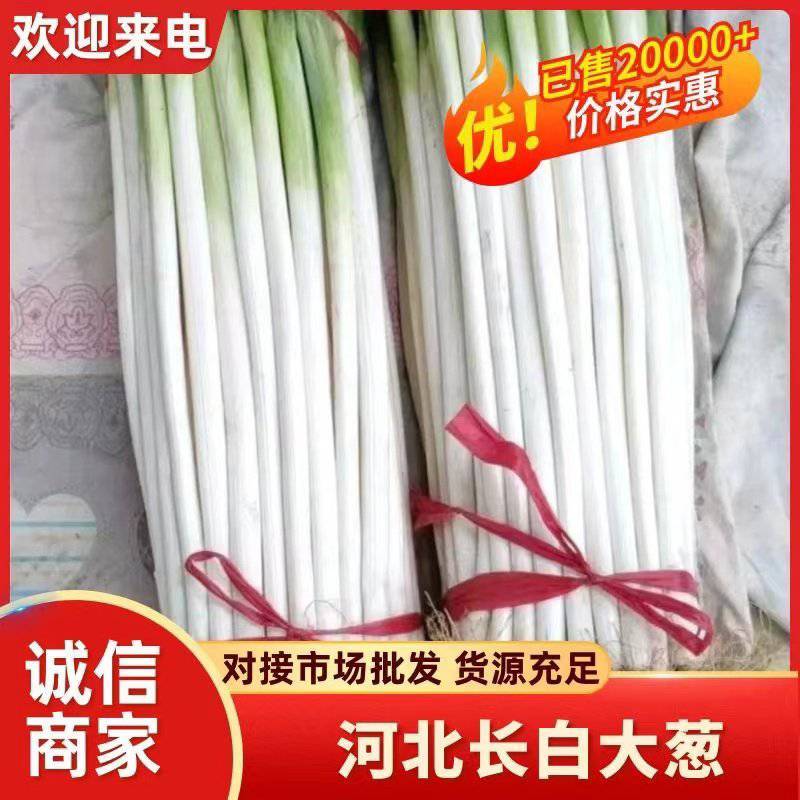 饶阳大葱长白大葱基地蔬菜诚信代办欢迎联系