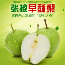 甘肃张掖六坝早酥梨4两起步，通货四八两