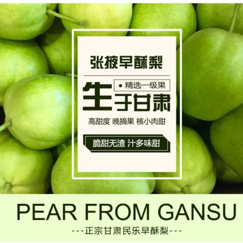 甘肃张掖六坝早酥梨4两起步，通货四八两