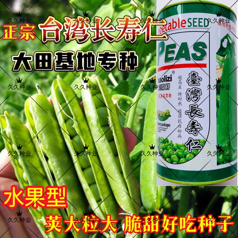 台湾长寿仁豌豆种子甜脆青碗豆种籽青豆散装四季秋冬季蔬菜种