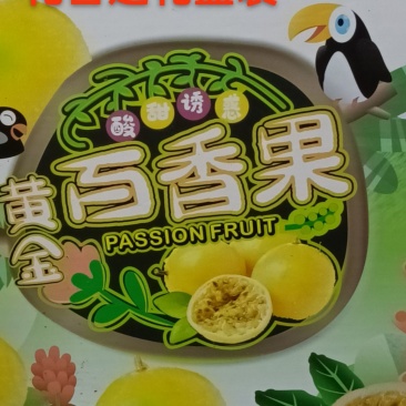 钦蜜九号