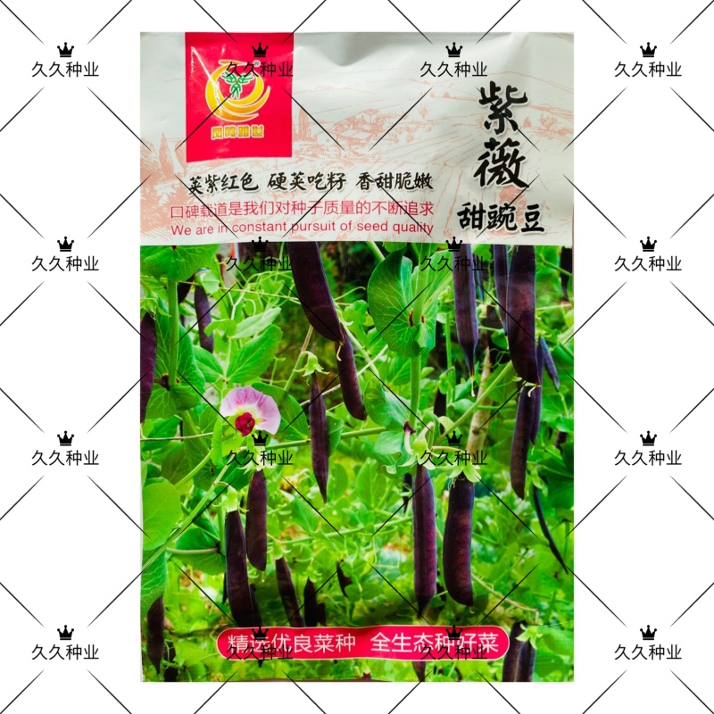 紫薇甜豌豆种子可鲜食红花荷兰豆紫色豌豆种籽脆嫩爽口硬荚