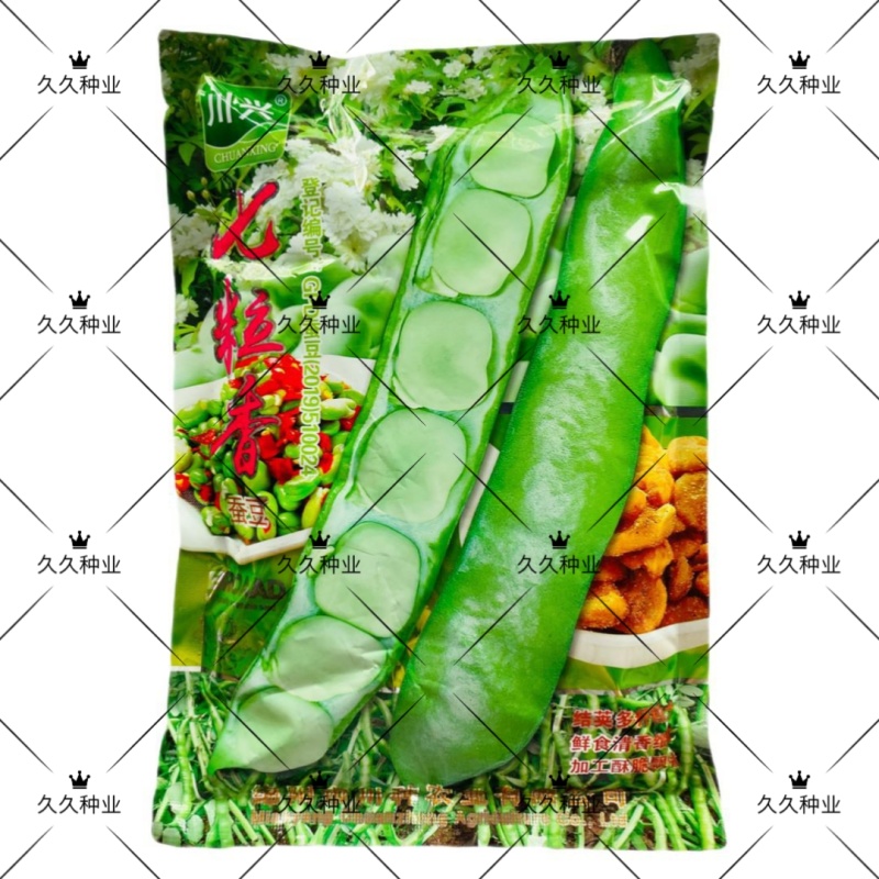 七粒香蚕豆种子高产大粒蚕豆罗汉豆种子耐寒秋冬播种胡豆蔬菜
