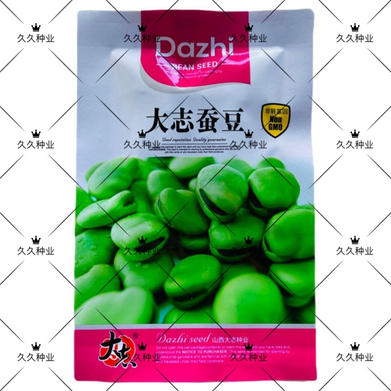 大志蚕豆种子非转基因高产蚕豆种籽耐寒抗病农家菜园大田用种
