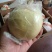 老树百年品牌。云南蒙自甜石榴（水晶玛瑙石榴）上市中，