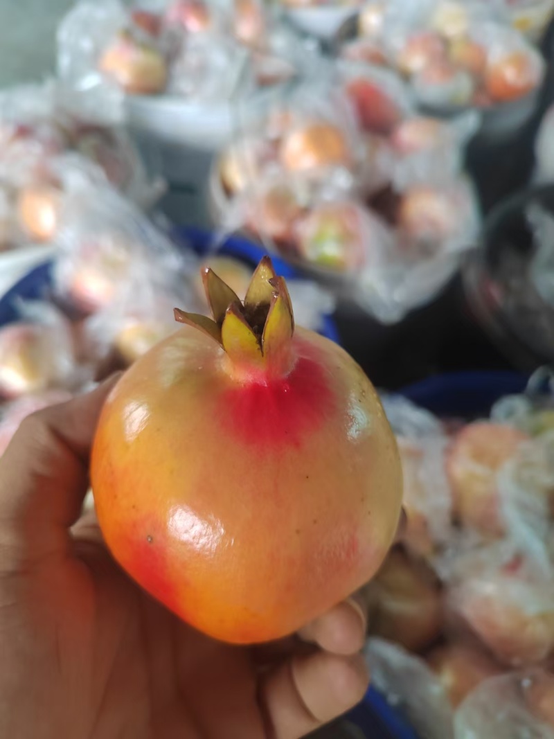 老树百年品牌。云南蒙自甜石榴（水晶玛瑙石榴）上市中，
