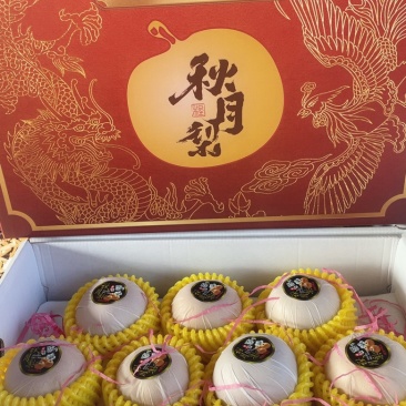 正宗秋月梨精品礼盒套装
