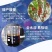 熬合铁叶面肥快速补铁预防枯萎吸收好增加产量
