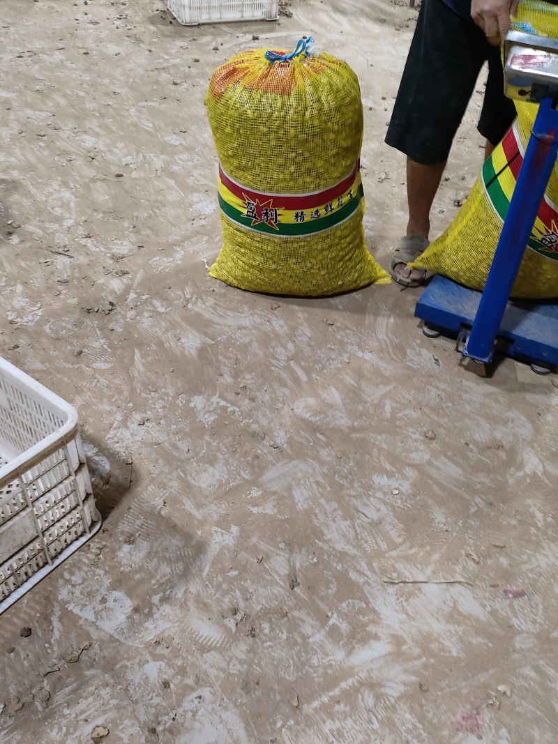 新鲜湿花生大量上市，黑土地罗汉果，白沙果，产地直l发质量保证