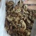 紫花三叉白芨干货稀有白芨无杂质货源充足价格美丽