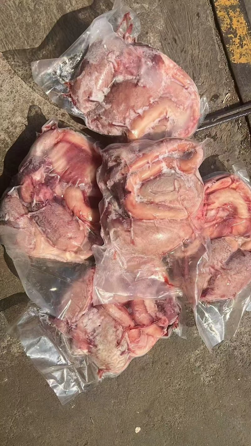 精修牛鞭