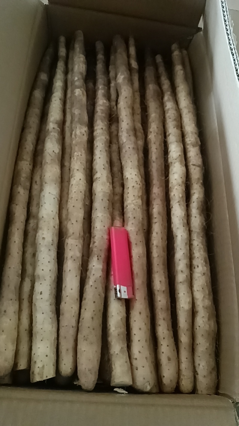 河北铁棍山药小白嘴山药黑头山药**
