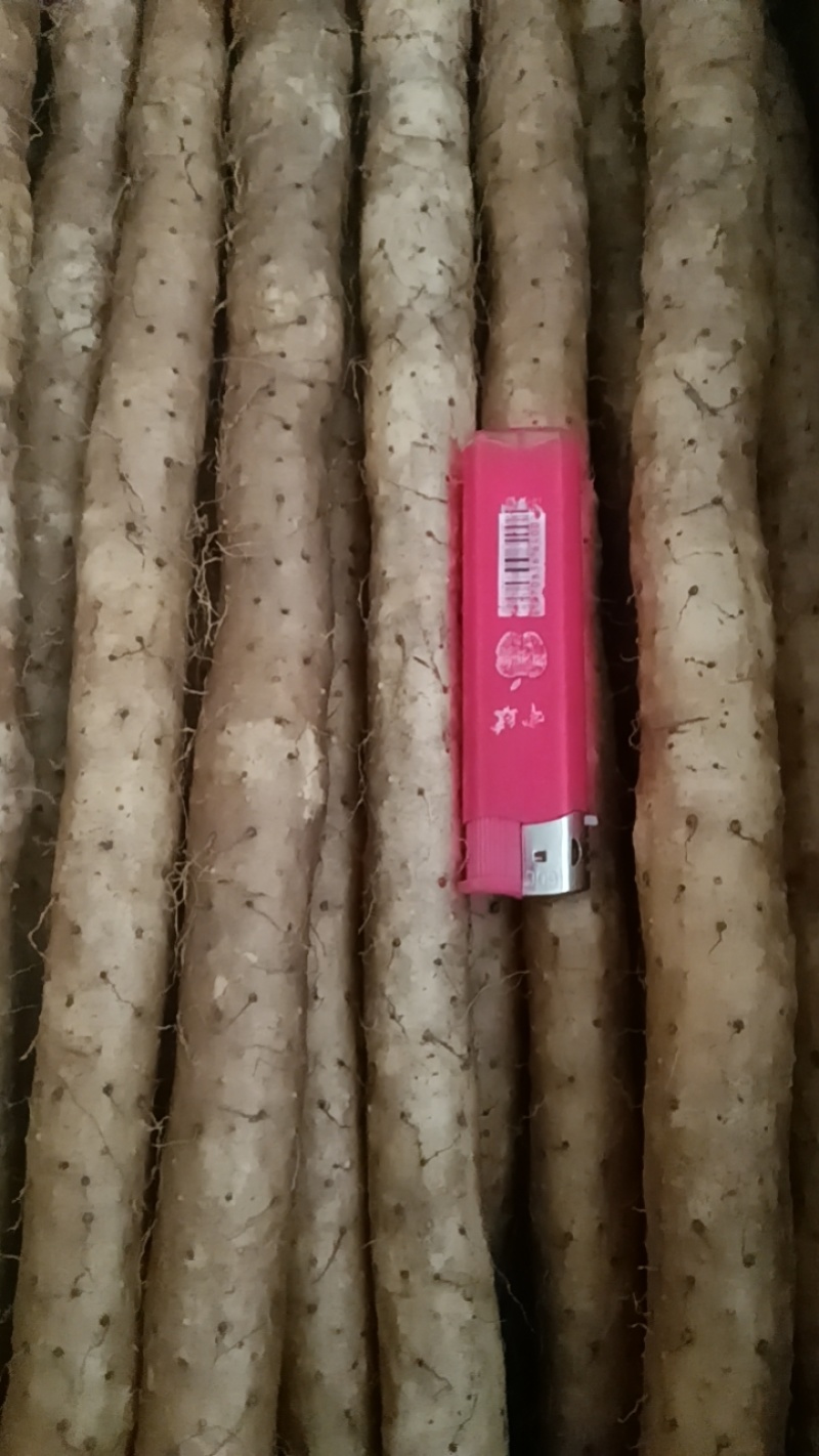 河北铁棍山药小白嘴山药黑头山药**