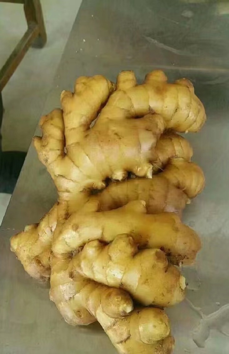 精品大黄姜，产地直发品质保障可视频看货代发全国