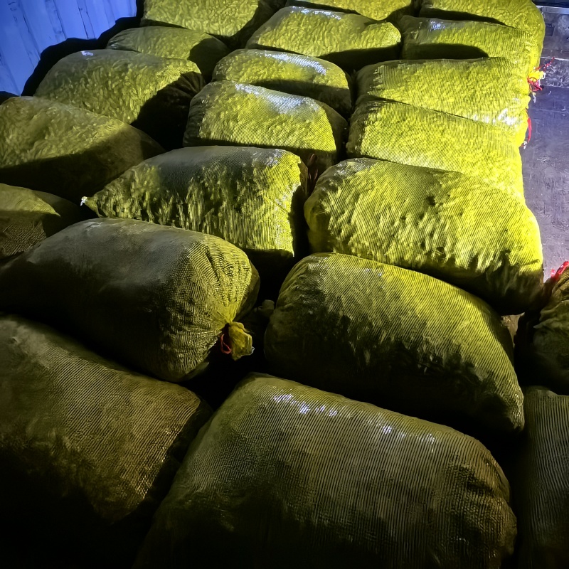 建水七彩花生，精品，土货。欢迎对接。资源共享。互利共赢