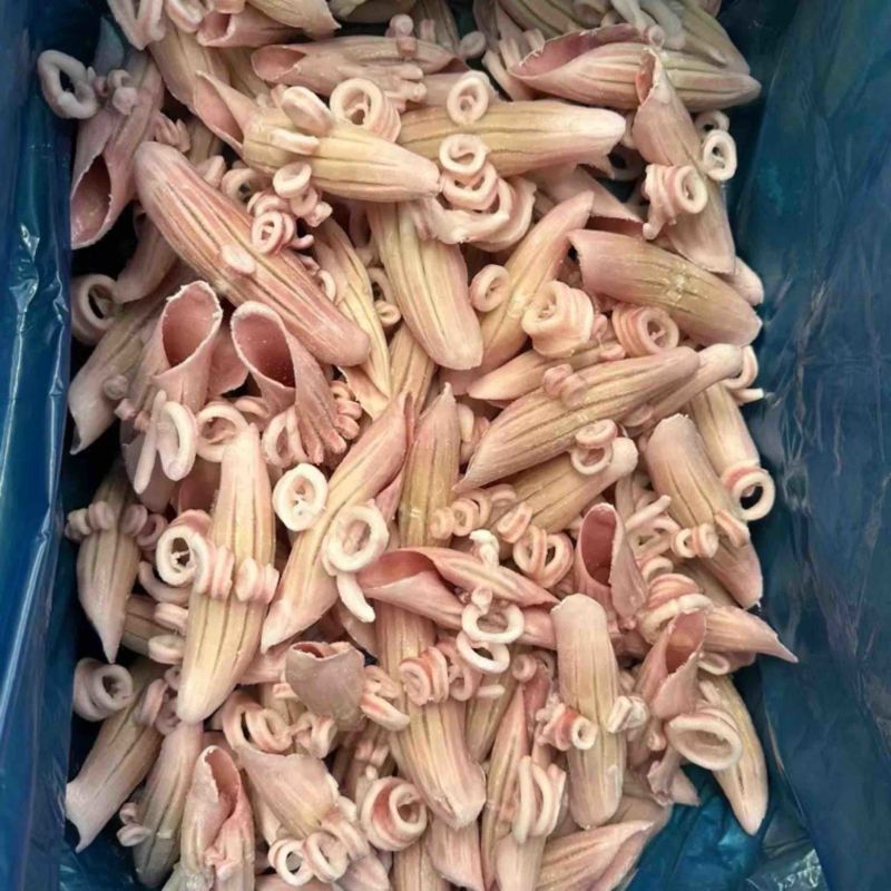 鱿鱼全系列产品